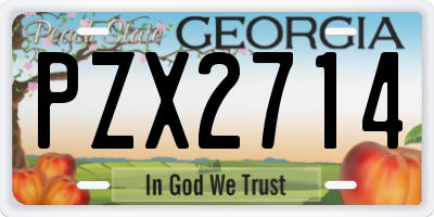 GA license plate PZX2714