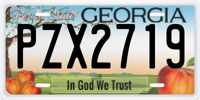 GA license plate PZX2719