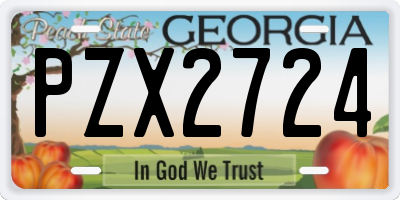 GA license plate PZX2724