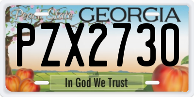 GA license plate PZX2730