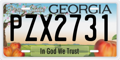 GA license plate PZX2731