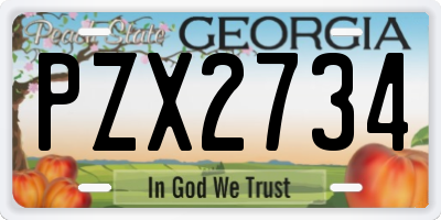 GA license plate PZX2734