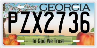 GA license plate PZX2736