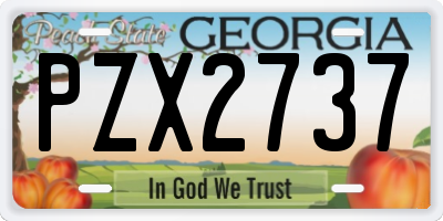 GA license plate PZX2737