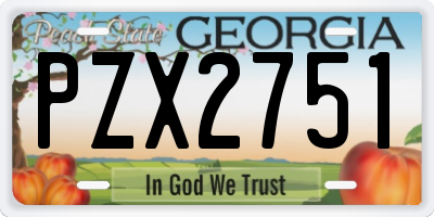 GA license plate PZX2751