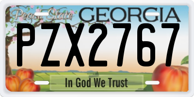 GA license plate PZX2767