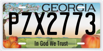 GA license plate PZX2773