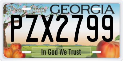 GA license plate PZX2799