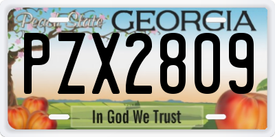 GA license plate PZX2809