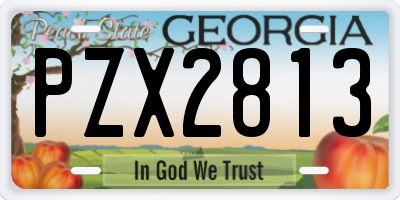 GA license plate PZX2813