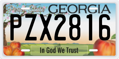 GA license plate PZX2816