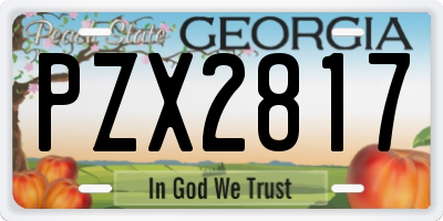 GA license plate PZX2817