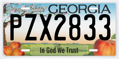 GA license plate PZX2833