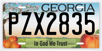 GA license plate PZX2835
