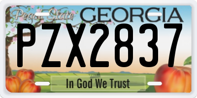 GA license plate PZX2837