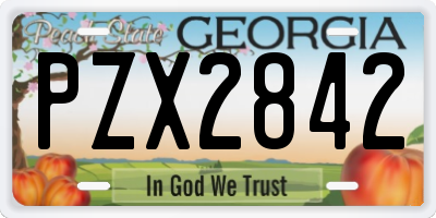 GA license plate PZX2842