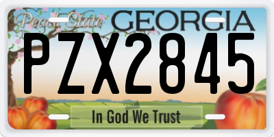 GA license plate PZX2845