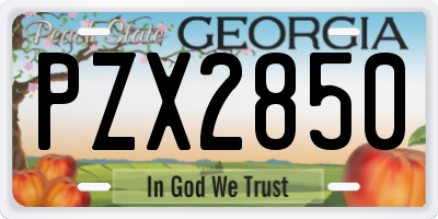 GA license plate PZX2850