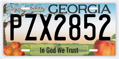 GA license plate PZX2852