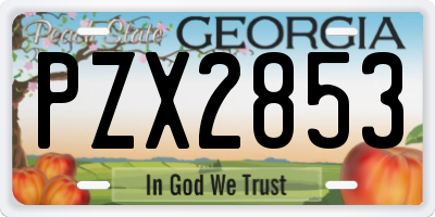 GA license plate PZX2853