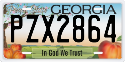 GA license plate PZX2864