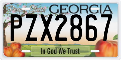 GA license plate PZX2867