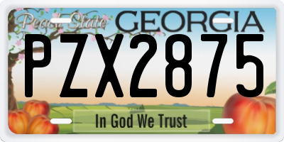 GA license plate PZX2875
