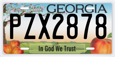 GA license plate PZX2878