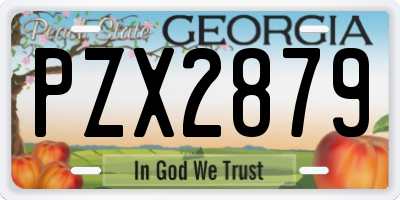 GA license plate PZX2879
