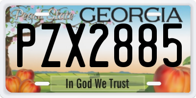 GA license plate PZX2885