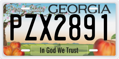 GA license plate PZX2891