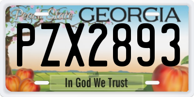 GA license plate PZX2893