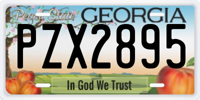 GA license plate PZX2895