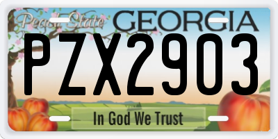 GA license plate PZX2903