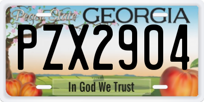 GA license plate PZX2904