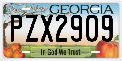 GA license plate PZX2909