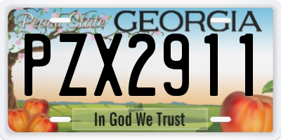 GA license plate PZX2911