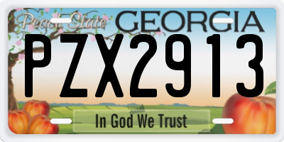 GA license plate PZX2913