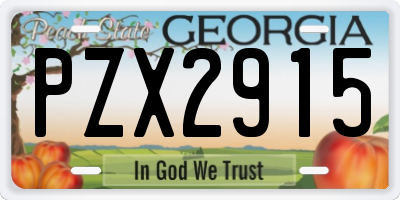 GA license plate PZX2915