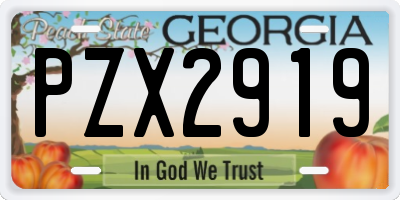 GA license plate PZX2919