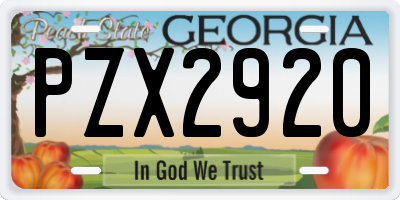 GA license plate PZX2920