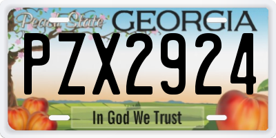 GA license plate PZX2924