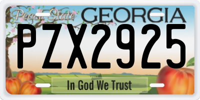 GA license plate PZX2925