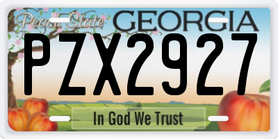 GA license plate PZX2927