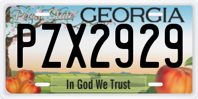 GA license plate PZX2929