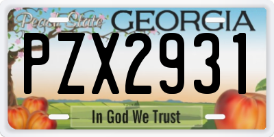 GA license plate PZX2931
