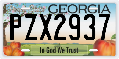 GA license plate PZX2937