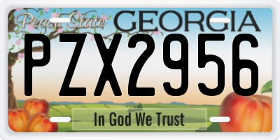 GA license plate PZX2956