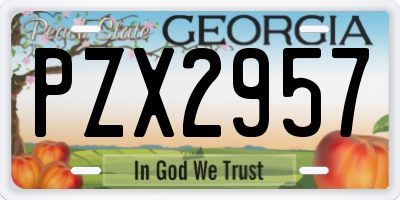 GA license plate PZX2957