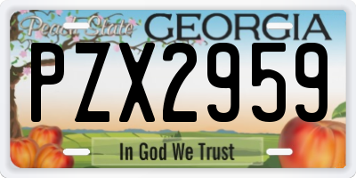 GA license plate PZX2959